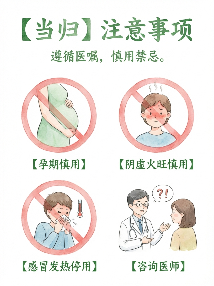 草木简史 | 当归：气血的归途。 - 3