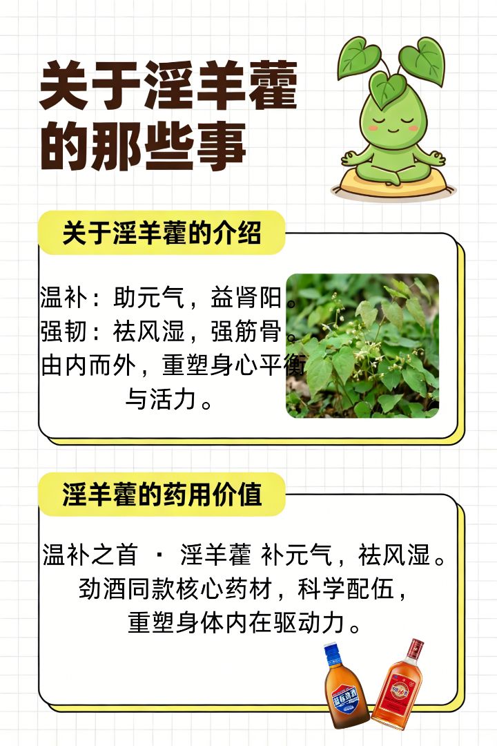 解锁草本界的“动力开关”：淫羊藿 🌱 除了图片里的知识点，你可能不知道：它是很多温补名方的“灵魂”。 科学萃取，温补而不燥。 想给生活加把「劲」？欢迎找我聊聊，这份“劲”道好礼值得带回家。📩 - 2