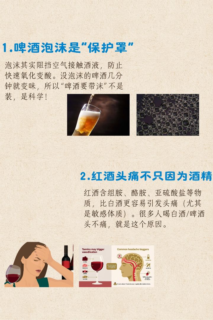 10 Mind-Blowing Alcohol Facts You Didn’t Know ！ - 2